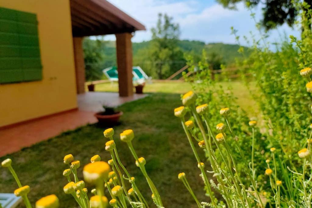 Villa Con Piscina 10 Posti Letto, L'Oliveta Di Rivalto Chianni Eksteriør billede