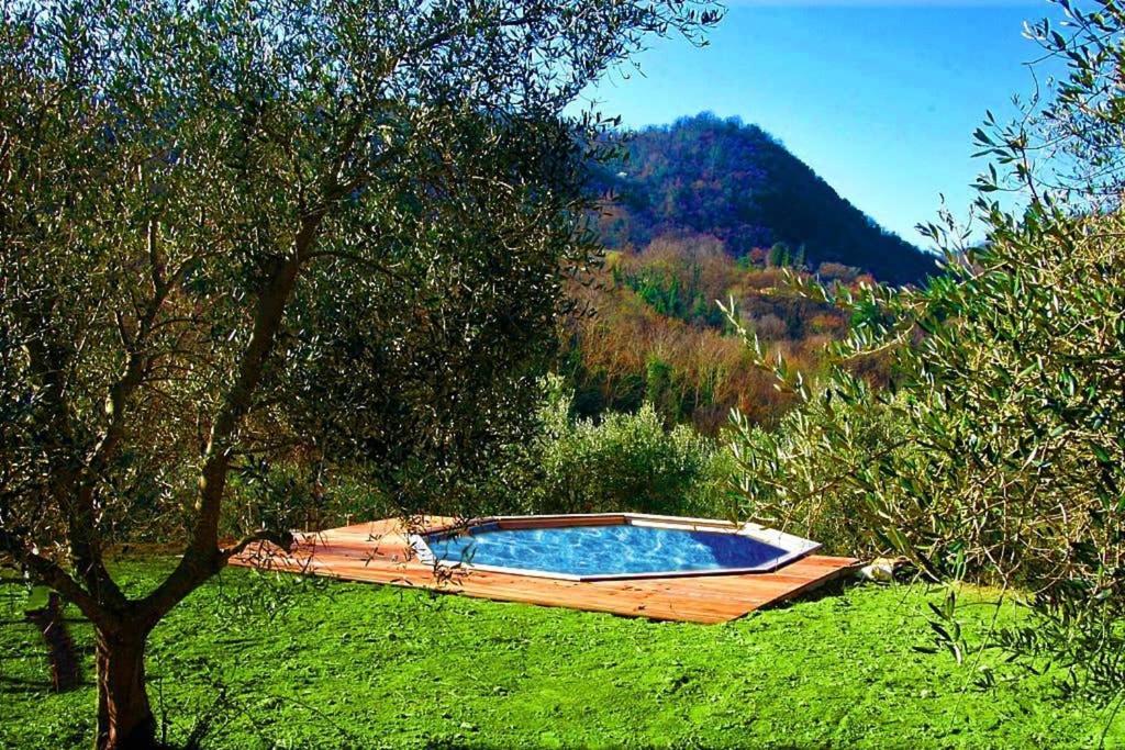 Villa Con Piscina 10 Posti Letto, L'Oliveta Di Rivalto Chianni Eksteriør billede