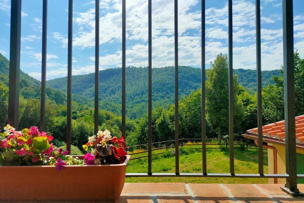 Villa Con Piscina 10 Posti Letto, L'Oliveta Di Rivalto Chianni Eksteriør billede
