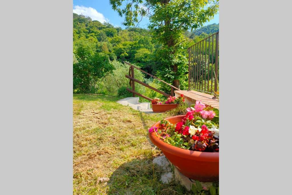 Villa Con Piscina 10 Posti Letto, L'Oliveta Di Rivalto Chianni Eksteriør billede
